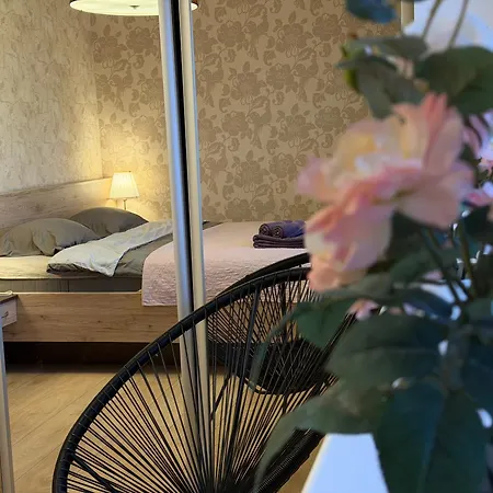 Taikos Near Old Town Self Check In Free Parking Apartment