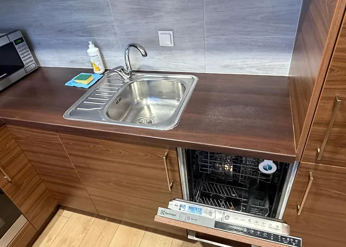 Appartement Taikos Near Old Town Self Check In Free Parking