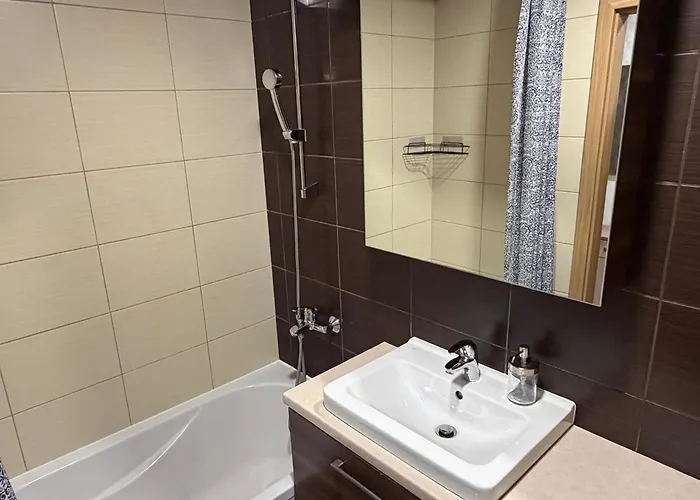 Taikos Near Old Town Self Check In Free Parking * Klaipėda